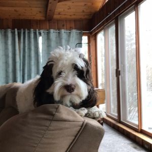 Meet your Posher, Meghan